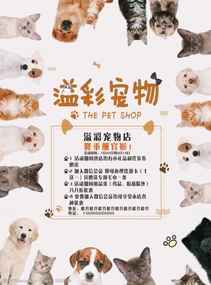 專業(yè)寵物服務，呵護愛寵健康與快樂