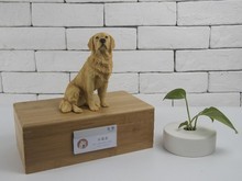 上海金橋?qū)櫸镌\所 互聯(lián)網(wǎng)數(shù)據(jù)服務(wù)的創(chuàng)新應(yīng)用與價值